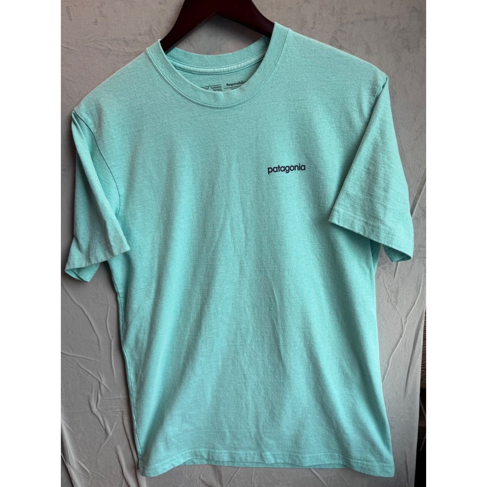 Patagonia Responsibili-Tee Mens M Teal Gorpcore Outdoor Graphic T-Shirt - Picture 2 of 6